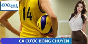 Cá Cược Bóng Chuyền: Xu Hướng Giải Trí Thời Thượng 2025