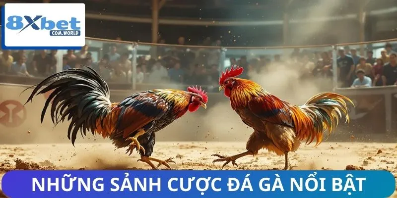 Trải nghiệm ngay những sảnh cược Hot nhất