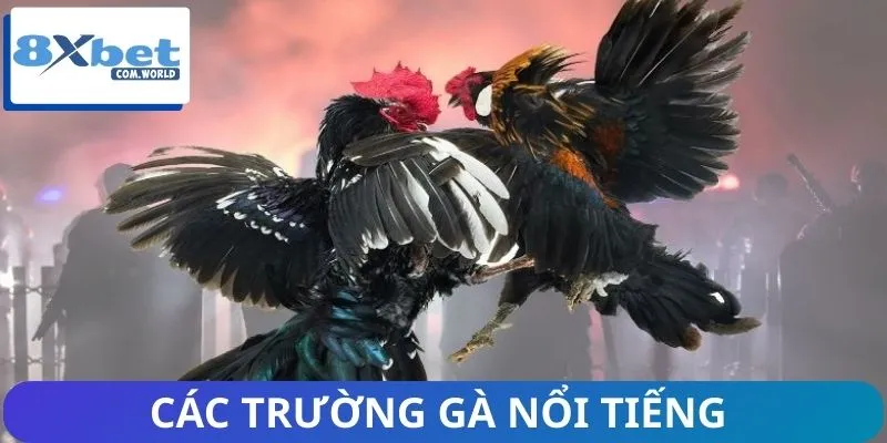 Khám phá các trường gà danh giá nhất