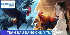 Các Trận Đấu Đáng Chú Ý Tuần Này 8XBET – Đụng Độ Rực Lửa