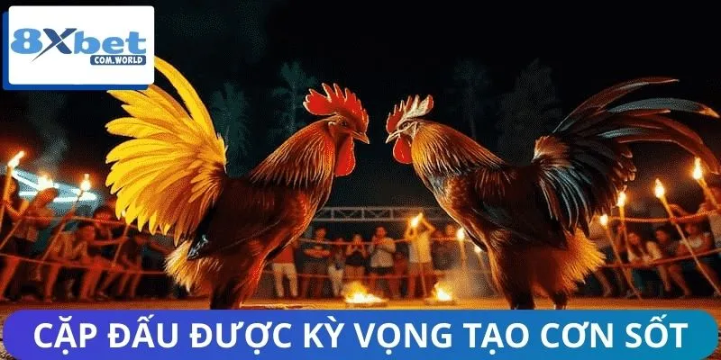 Các Trận Đấu Đáng Chú Ý Tuần Này 8XBET – Đụng Độ Rực Lửa 2 Mãn nhãn với những cặp đấu danh giá